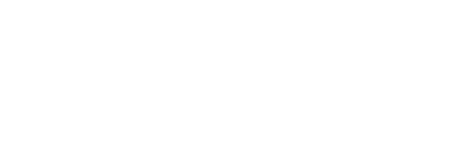 Objet dynamique vectoriel
